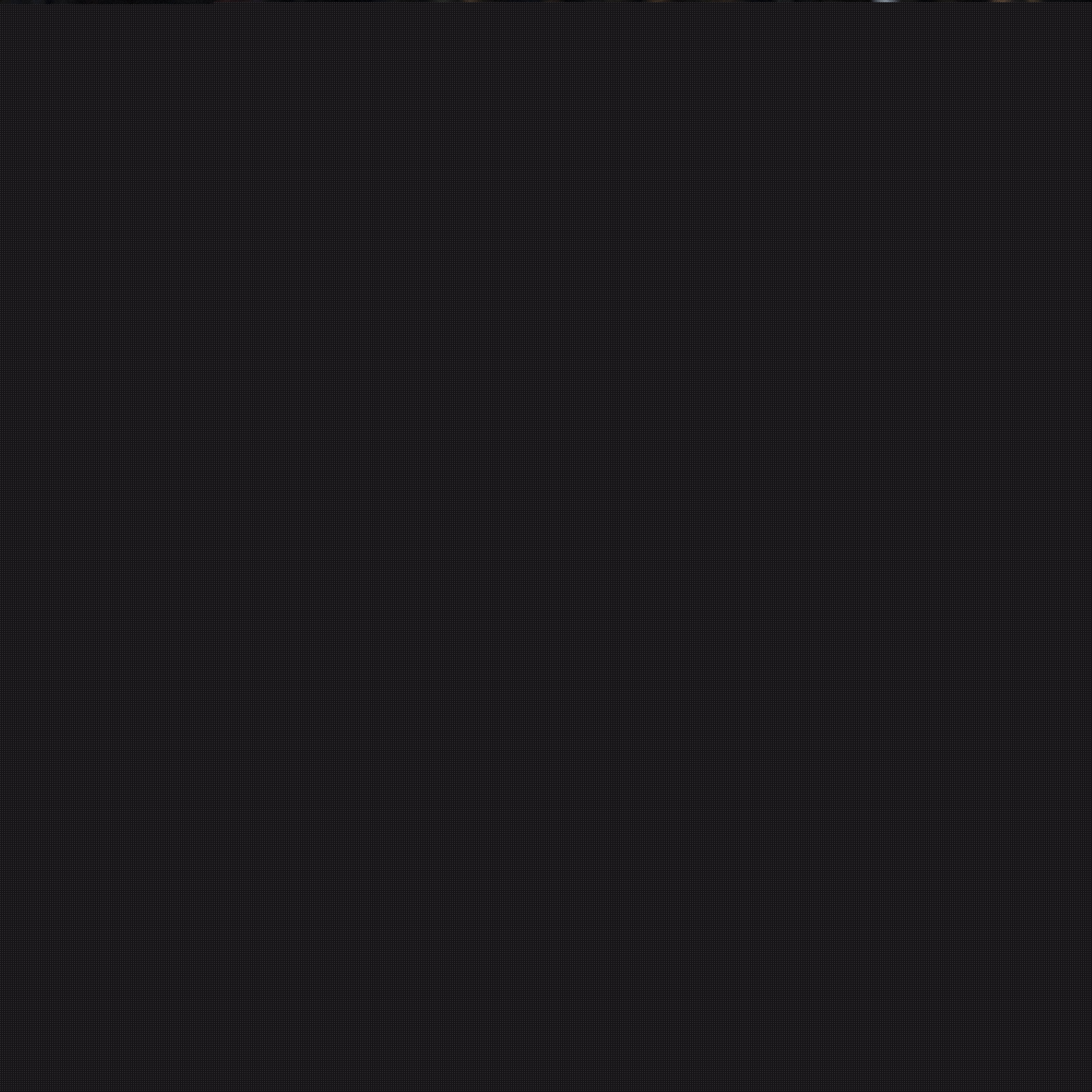 的背后是经