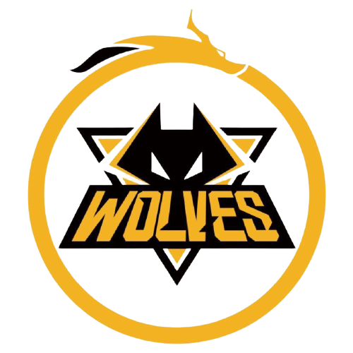 不仅仅是对 不仅仅是对